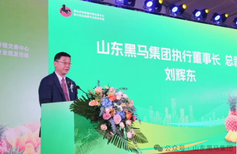 67ad9efbcd0ba.png 62f28cf436d2059876246cde6b66acb.png